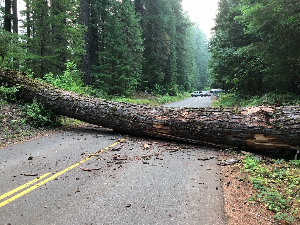 Avoiding road obstacles and staying alert to unexpected driving hazards